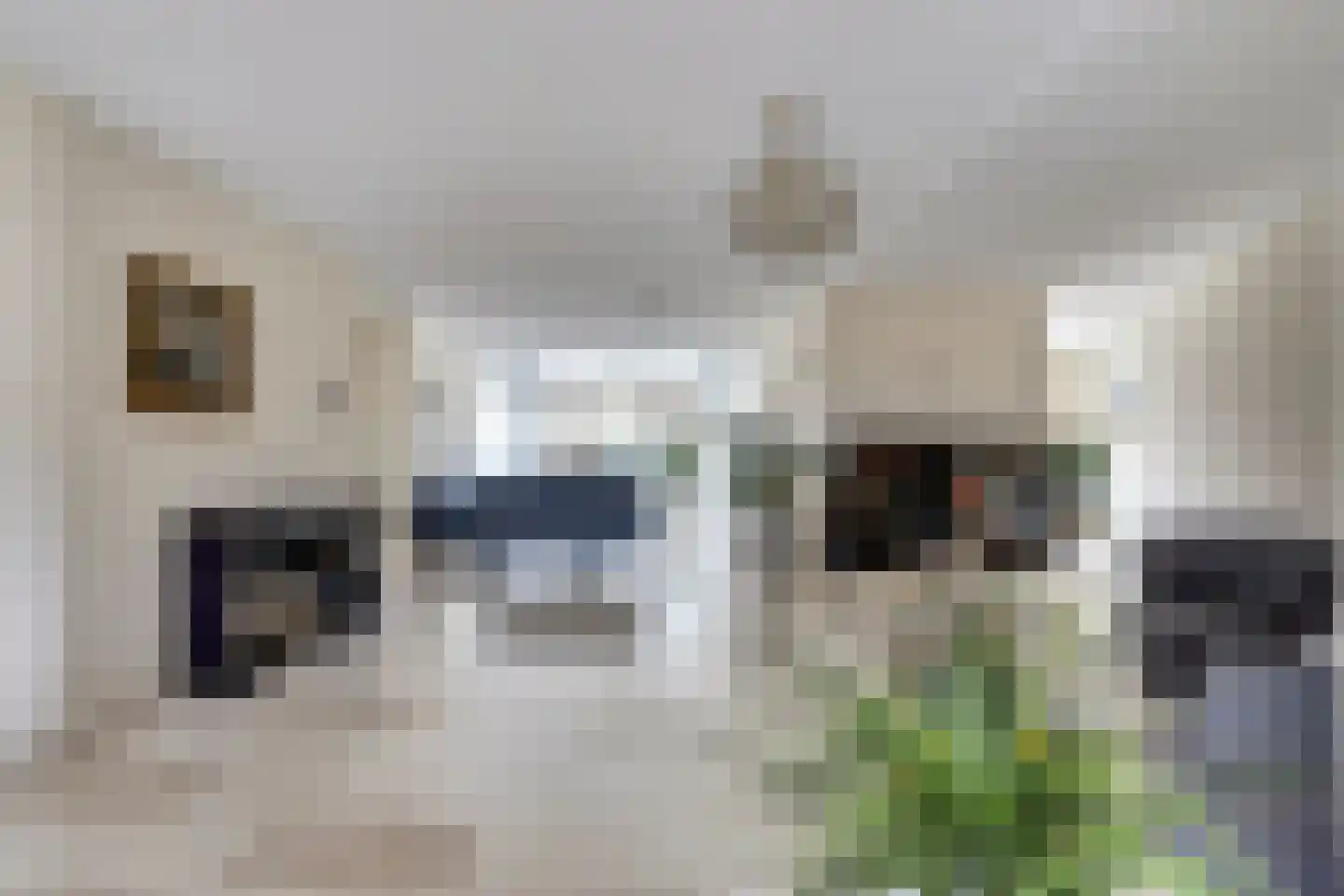 de Heul 8 Maasdam thumbnail 9