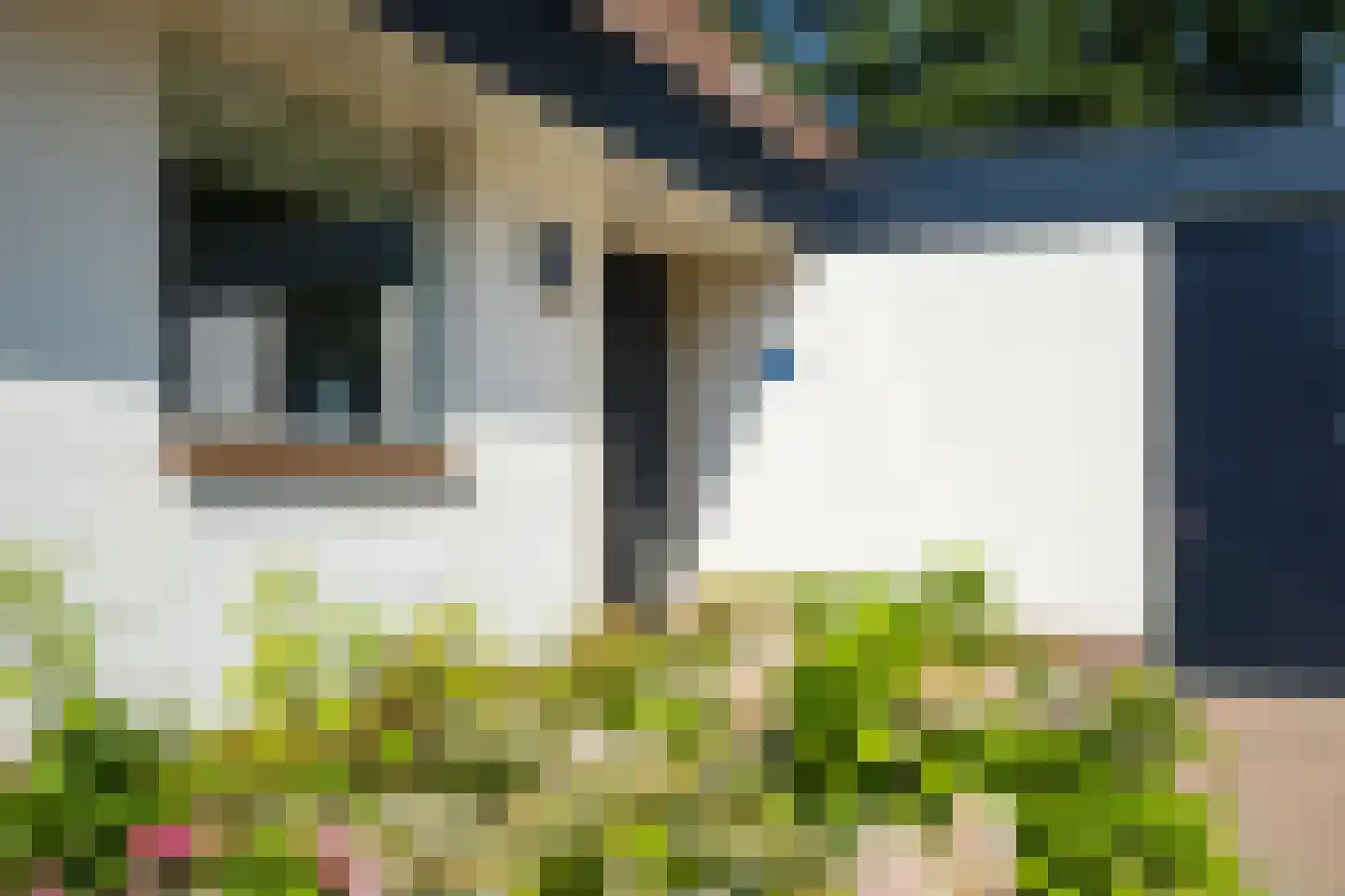 De Heurne 19 Hengelo (Gld) thumbnail 11