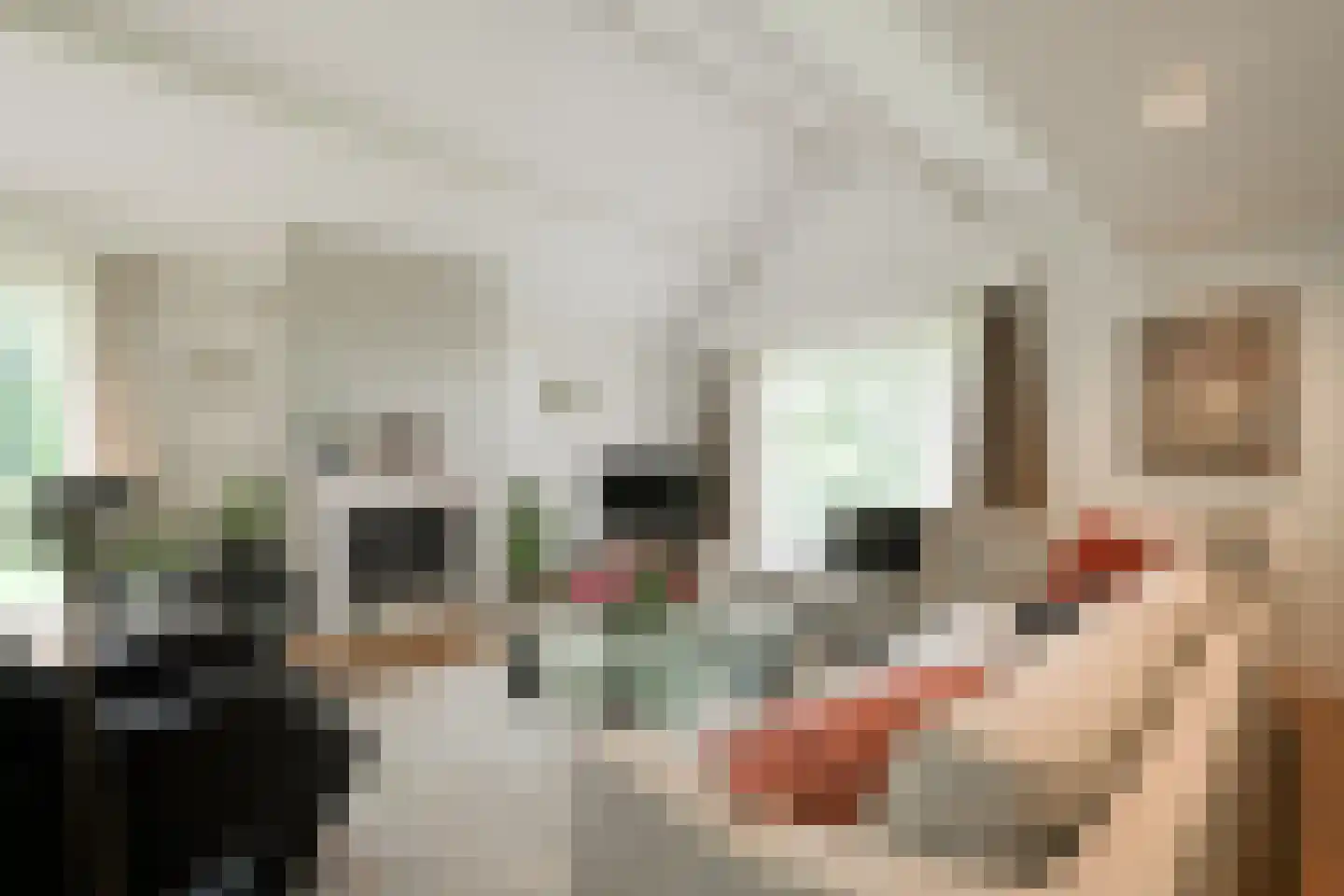 De Heurne 19 Hengelo (Gld) thumbnail 12