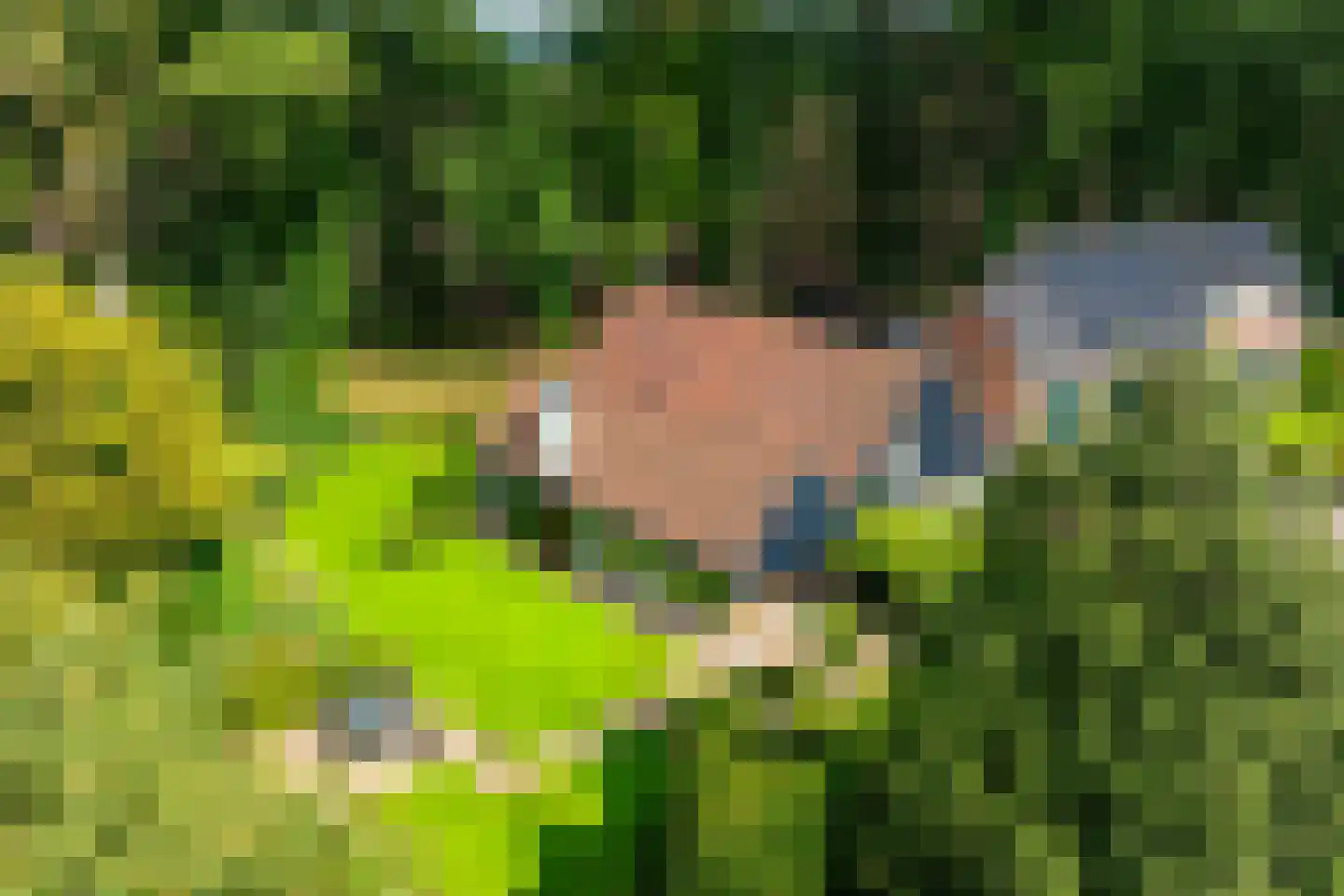 De Heurne 19 Hengelo (Gld) thumbnail 6