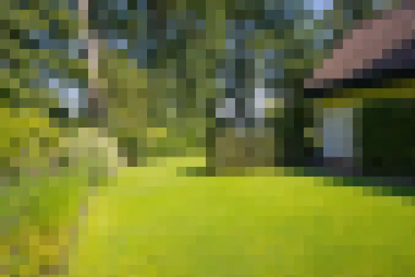 De Heurne 19 Hengelo (Gld) thumbnail 60