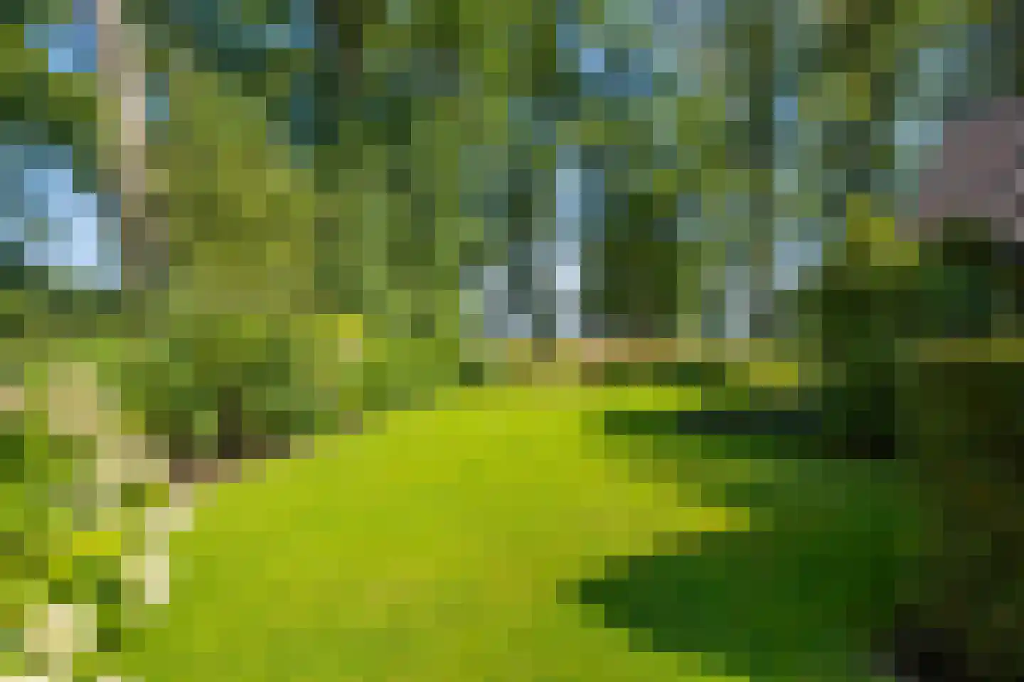 De Heurne 19 Hengelo (Gld) thumbnail 61