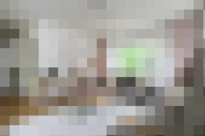 De Heurne 44 Hengelo (Gld) thumbnail 14