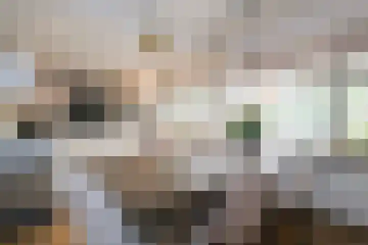 De Heurne 44 Hengelo (Gld) thumbnail 18