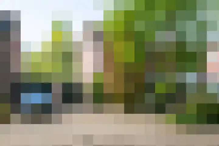De Heurne 44 Hengelo (Gld) thumbnail 4