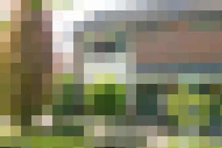 De Heurne 44 Hengelo (Gld) thumbnail 5