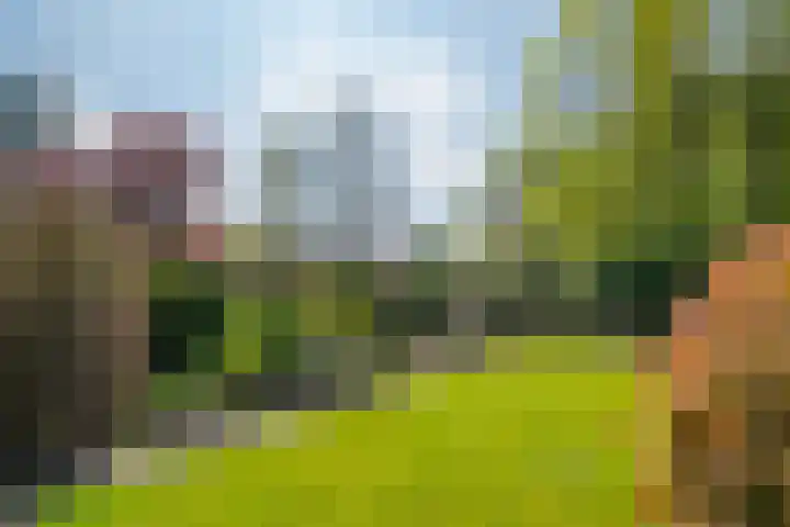 De Heurne 44 Hengelo (Gld) thumbnail 52