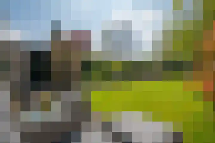 De Heurne 44 Hengelo (Gld) thumbnail 53