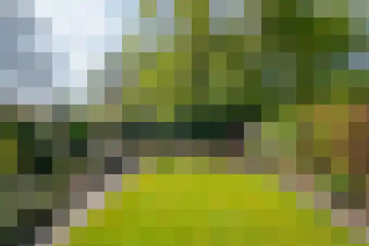 De Heurne 44 Hengelo (Gld) thumbnail 54