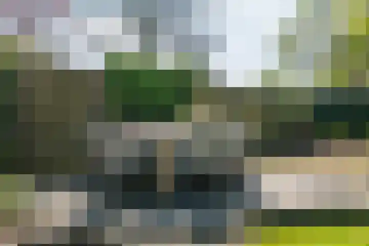 De Heurne 44 Hengelo (Gld) thumbnail 56