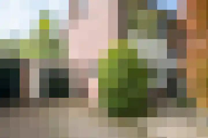 De Heurne 44 Hengelo (Gld) thumbnail 6