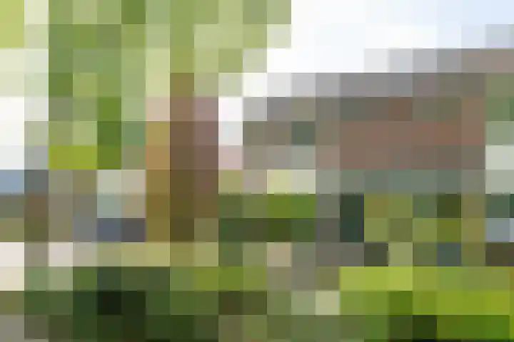 De Heurne 44 Hengelo (Gld) thumbnail 65