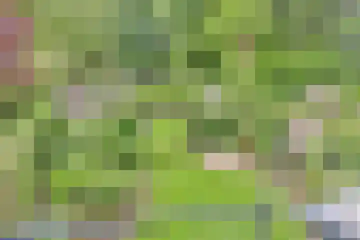 De Heurne 46 Hengelo (Gld) thumbnail 38