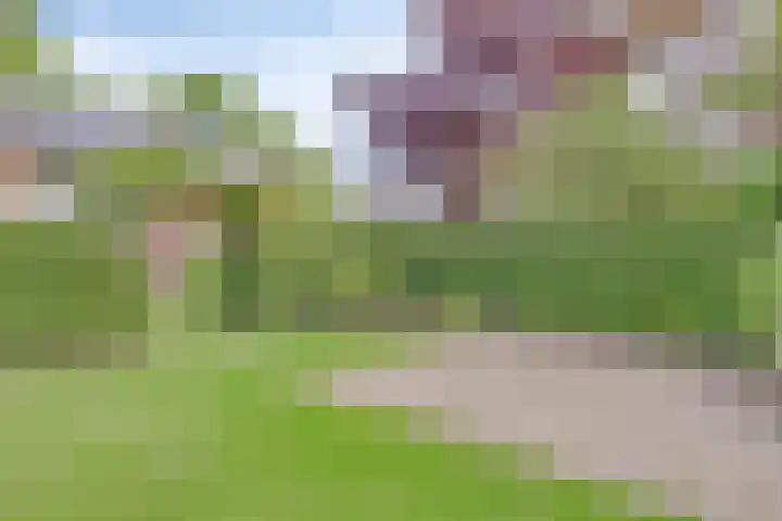 De Heurne 46 Hengelo (Gld) thumbnail 45