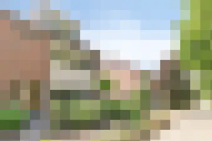 De Heurne 46 Hengelo (Gld) thumbnail 48