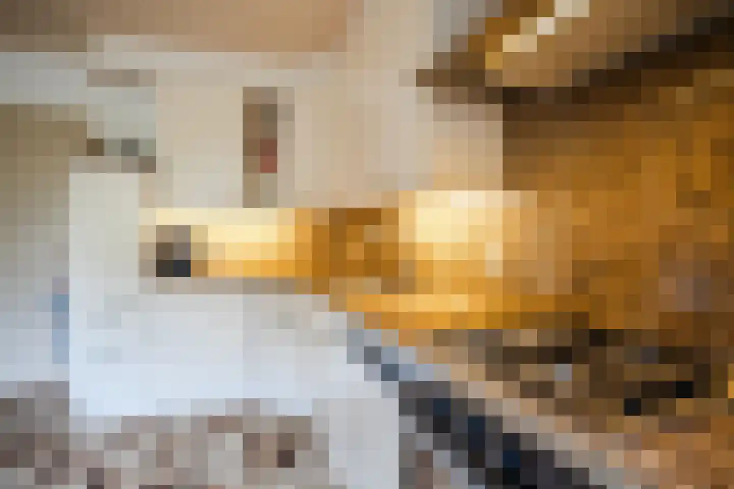 De Heurne 5 Hengelo (Gld) thumbnail 17