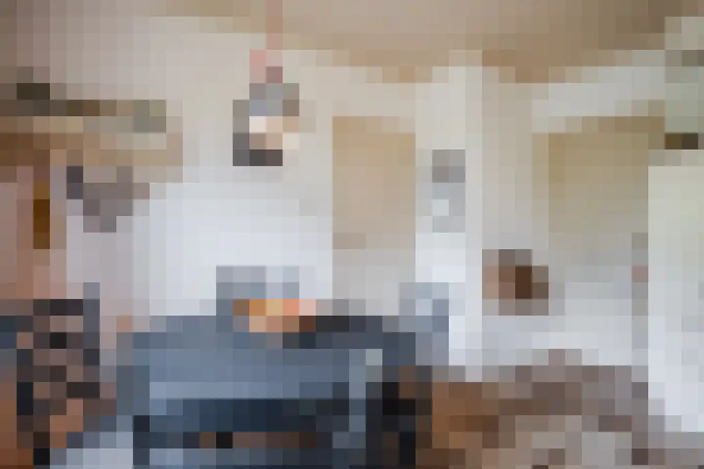 De Heurne 5 Hengelo (Gld) thumbnail 18