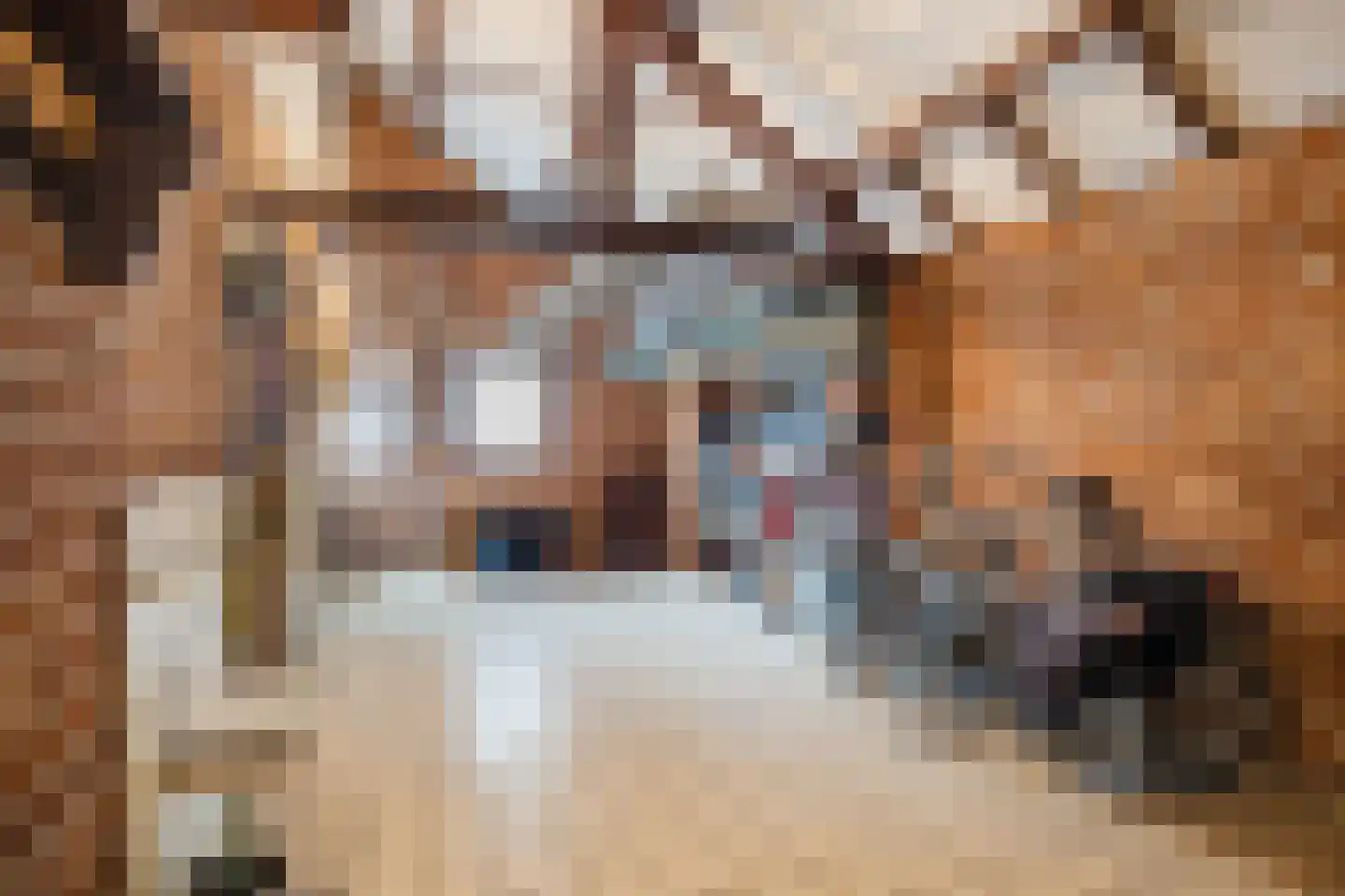 De Heurne 5 Hengelo (Gld) thumbnail 22