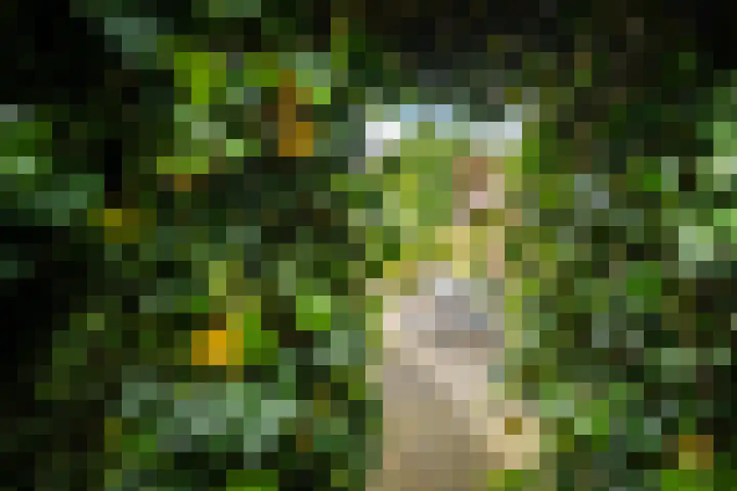De Heurne 5 Hengelo (Gld) thumbnail 54