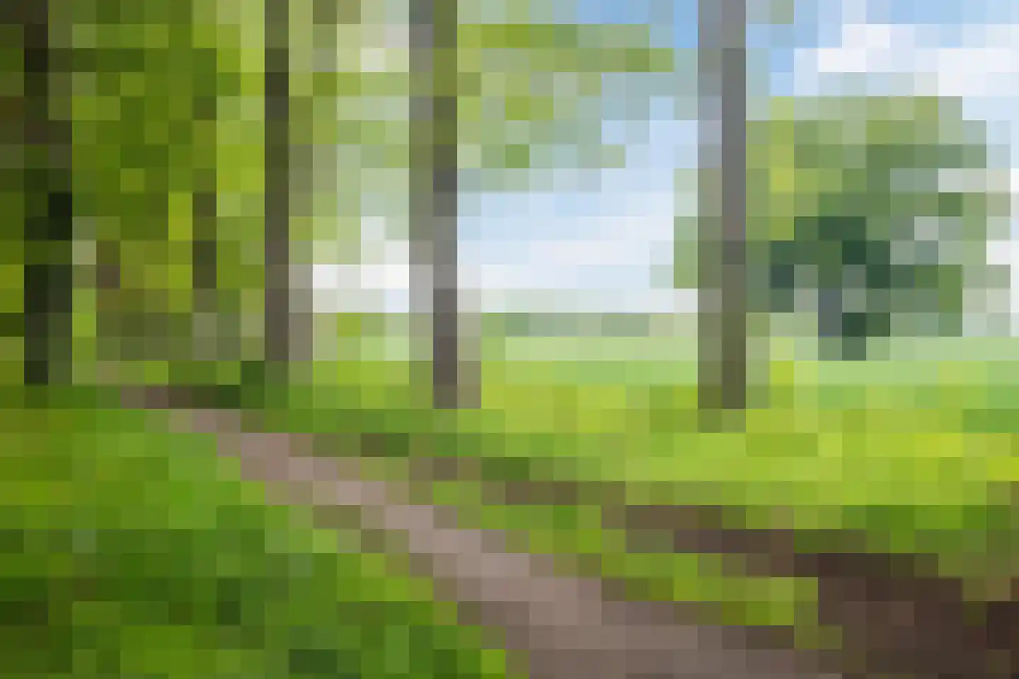 De Heurne 5 Hengelo (Gld) thumbnail 55