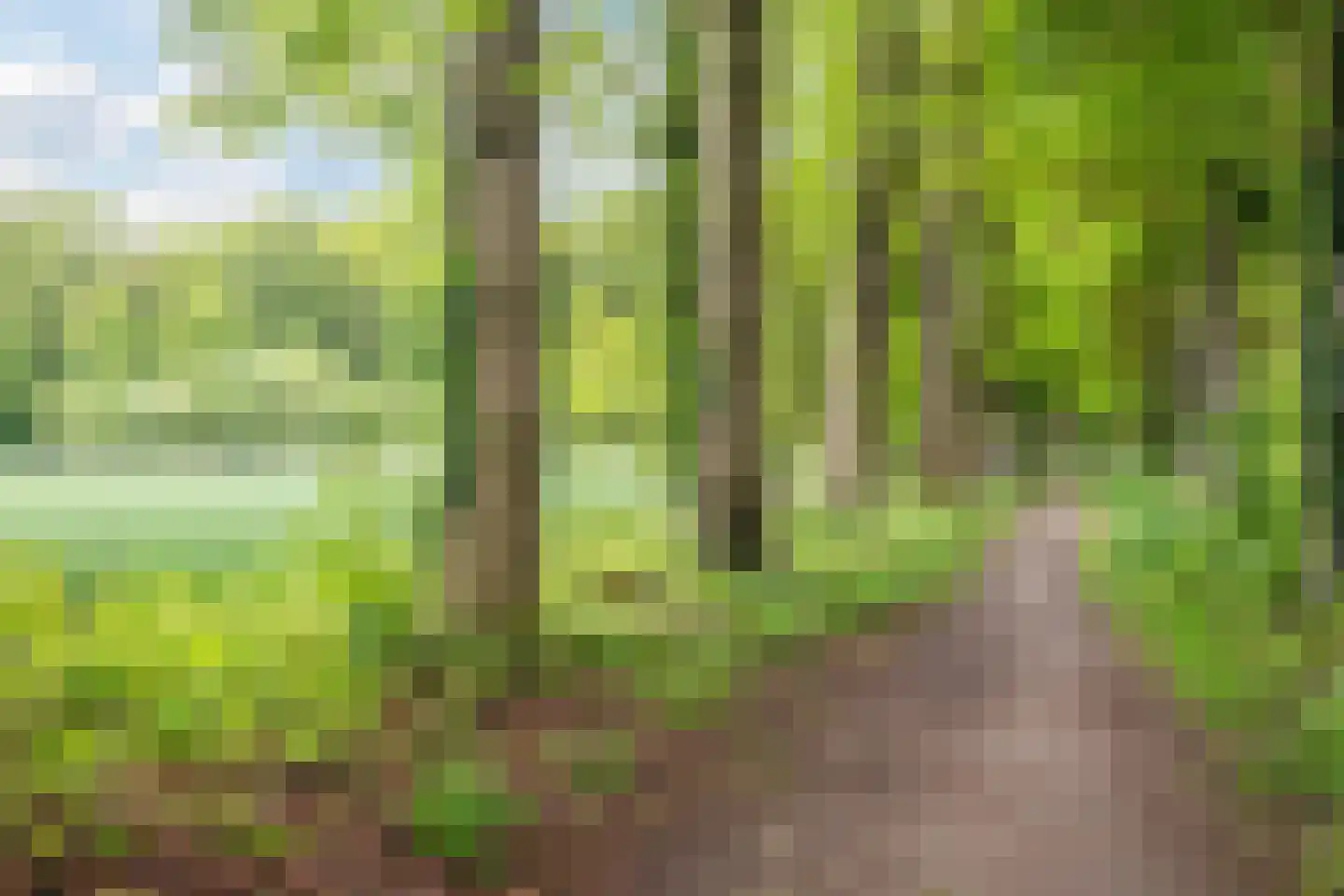 De Heurne 5 Hengelo (Gld) thumbnail 56