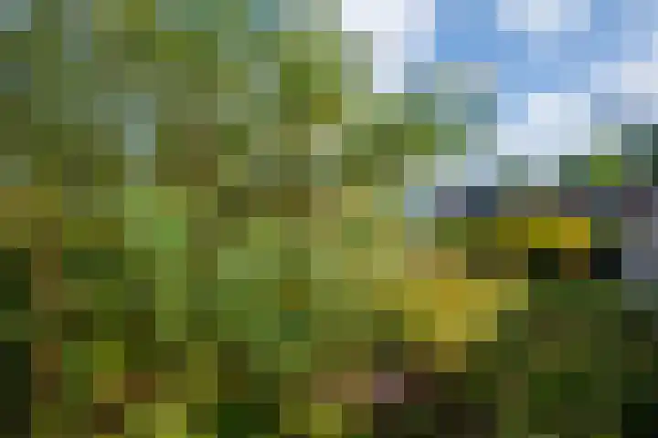 De Heurne 54 Hengelo (Gld) thumbnail 21