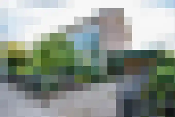 De Heurne 54 Hengelo (Gld) thumbnail 23