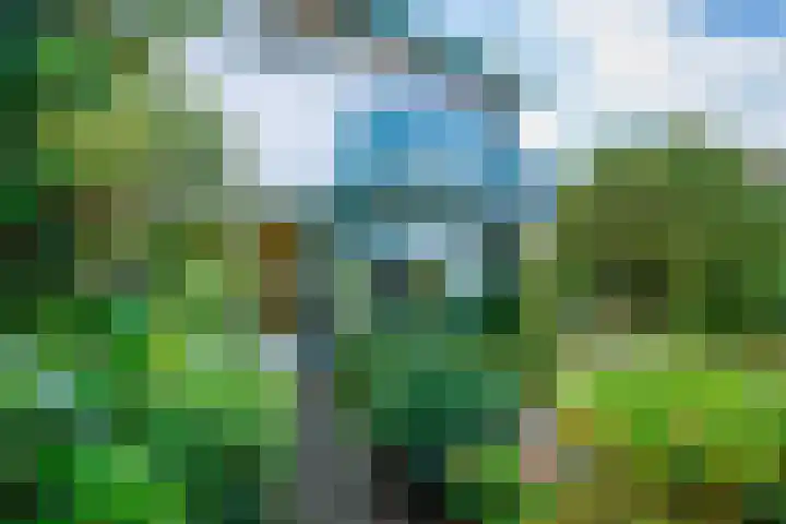 De Heurne 54 Hengelo (Gld) thumbnail 24
