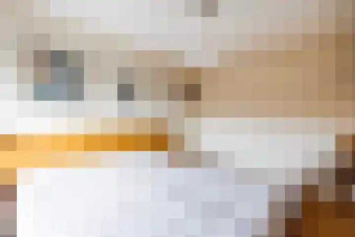 De Heurne 54 Hengelo (Gld) thumbnail 29