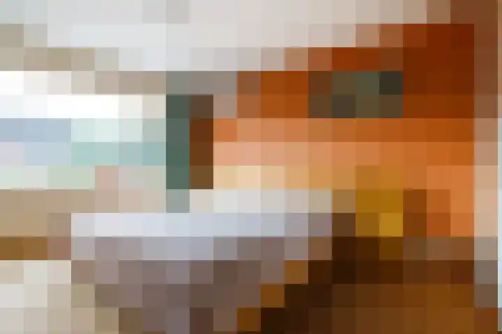 De Heurne 54 Hengelo (Gld) thumbnail 32