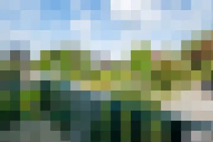 De Heurne 54 Hengelo (Gld) thumbnail 35