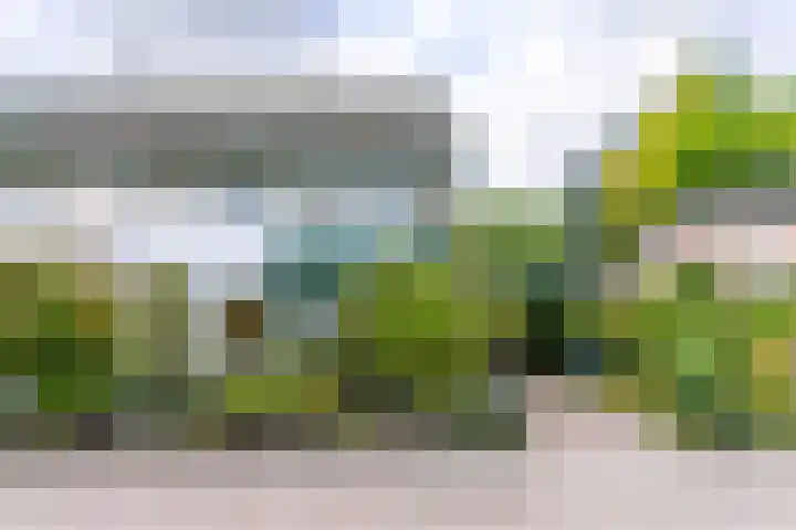 De Heurne 54 Hengelo (Gld) thumbnail 43