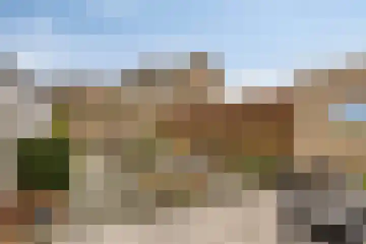 De Heurne 55 24 Enschede thumbnail 31