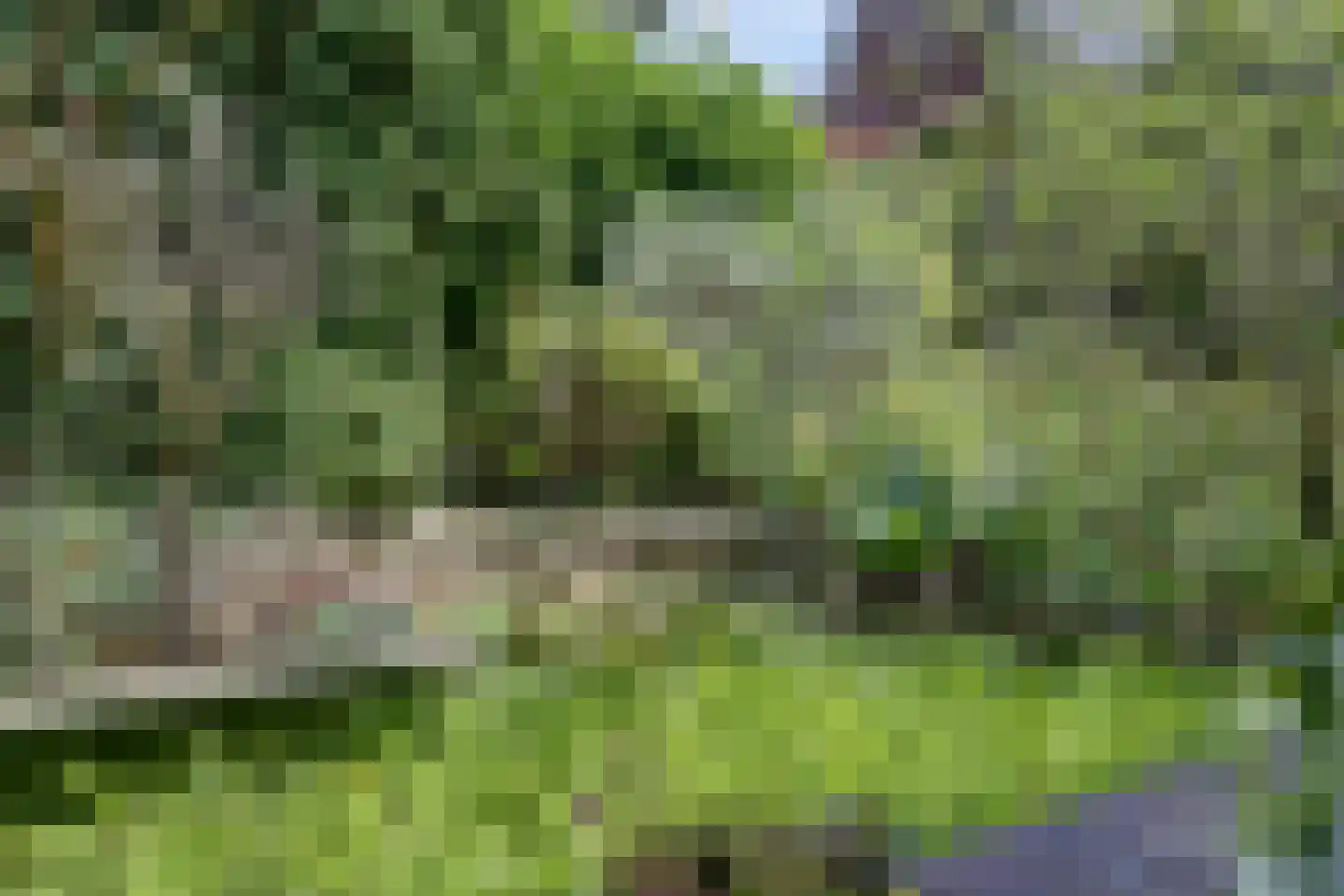 De Heurne 55 24 Enschede thumbnail 37