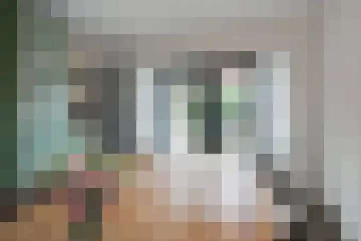 De Heurne 78 Hengelo (Gld) thumbnail 18