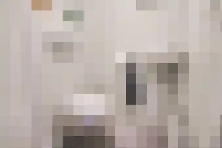 De Heurne 78 Hengelo (Gld) thumbnail 32