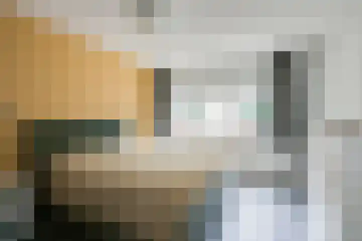 De Heurne 78 Hengelo (Gld) thumbnail 34