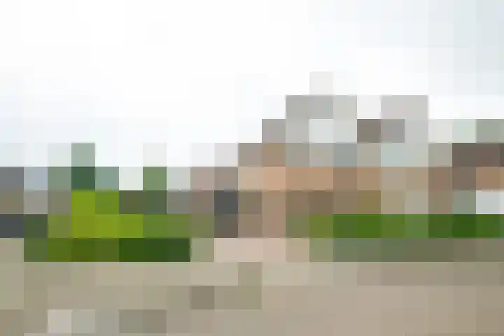 De Heurne 78 Hengelo (Gld) thumbnail 4