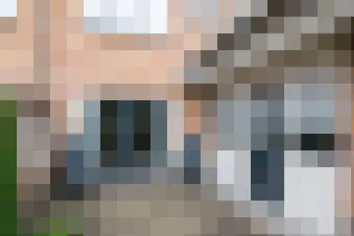 De Heurne 78 Hengelo (Gld) thumbnail 61