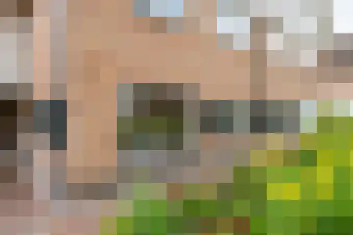 De Heurne 78 Hengelo (Gld) thumbnail 9