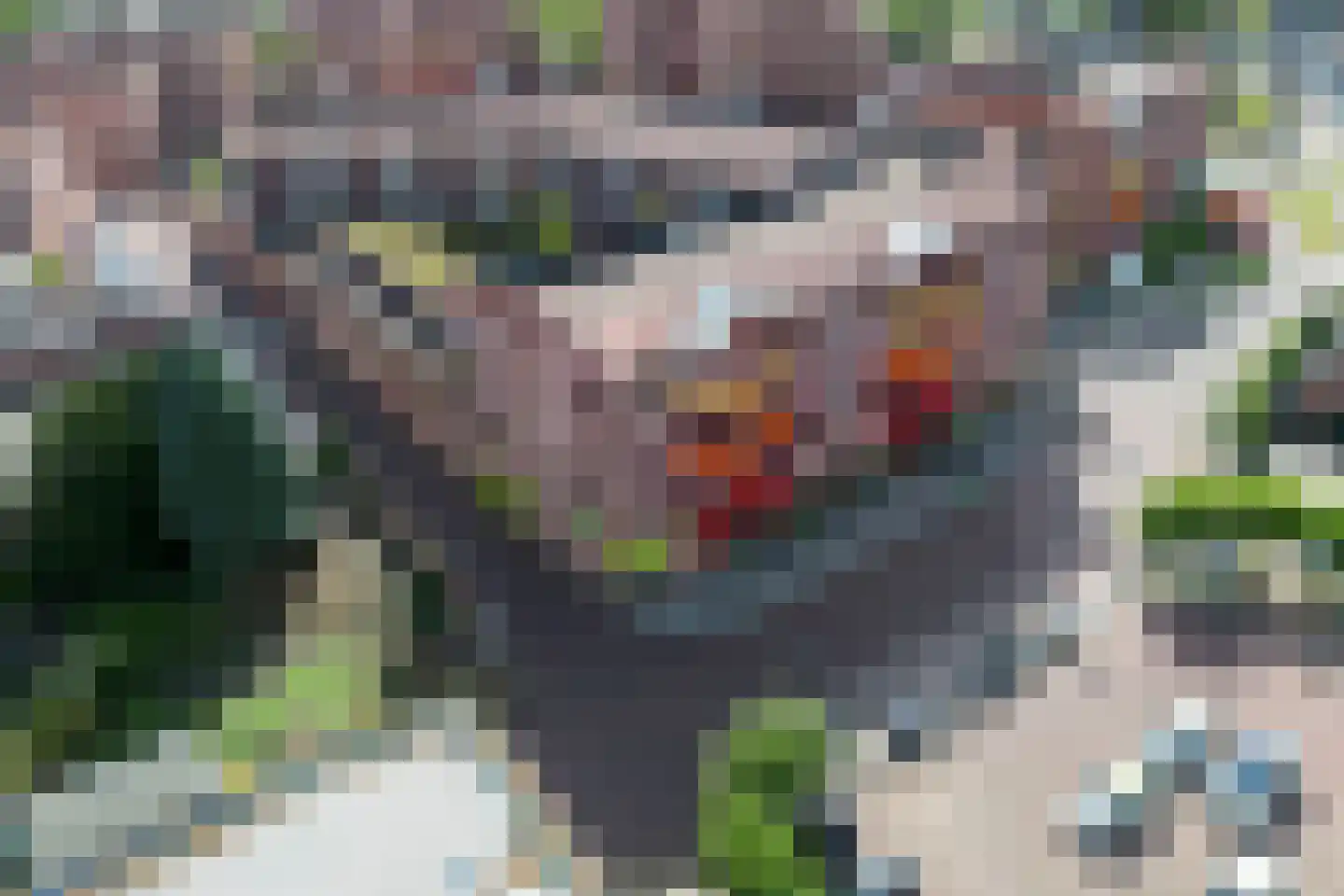 De Heus Plein 105 Barneveld thumbnail 42