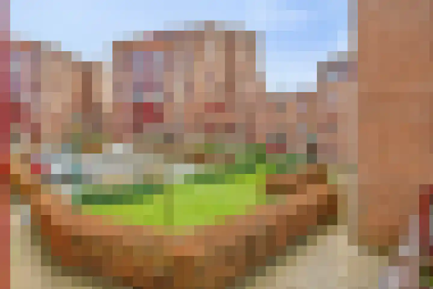 De Heus Plein 109 Barneveld thumbnail 21