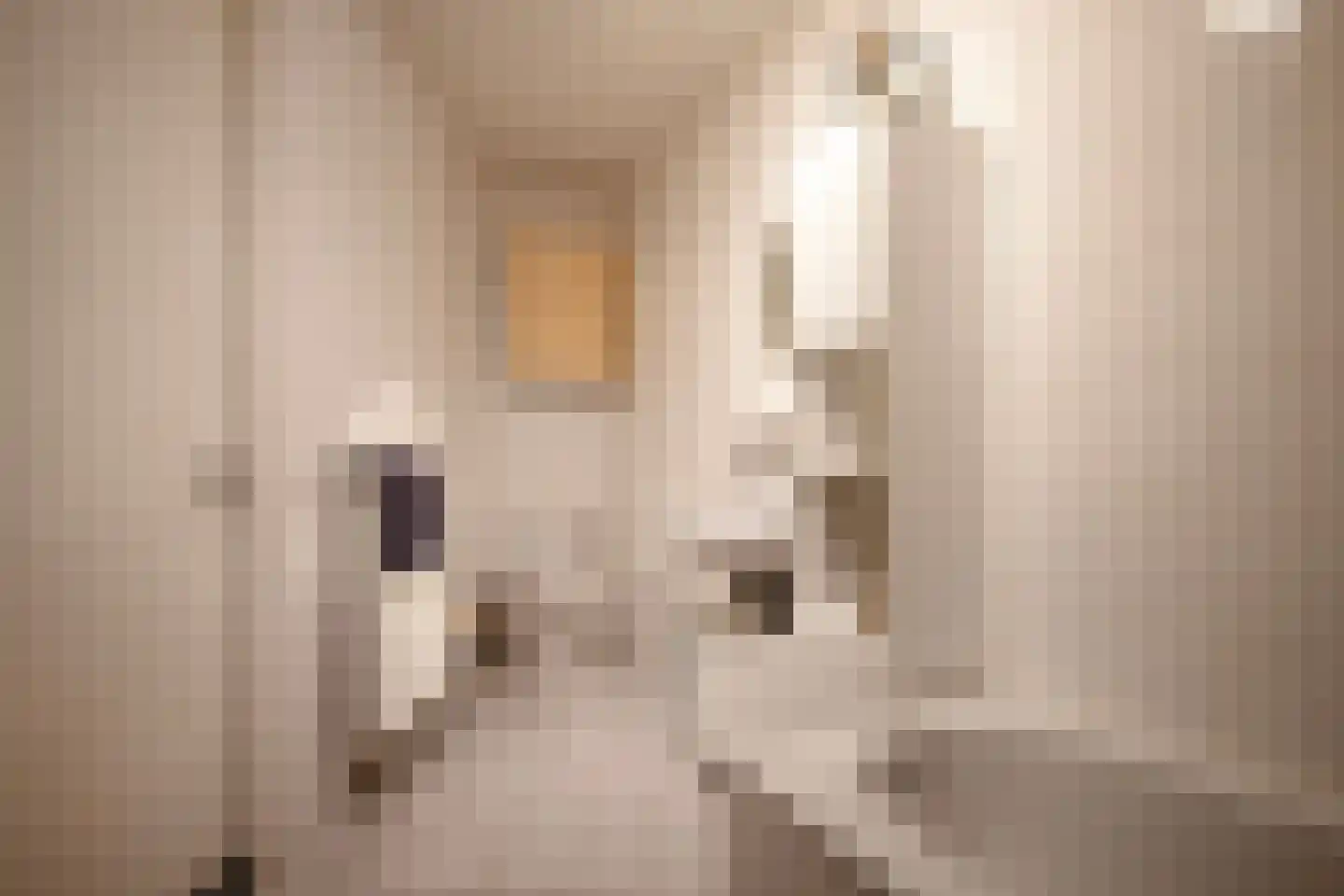 De Heus Plein 109 Barneveld thumbnail 27