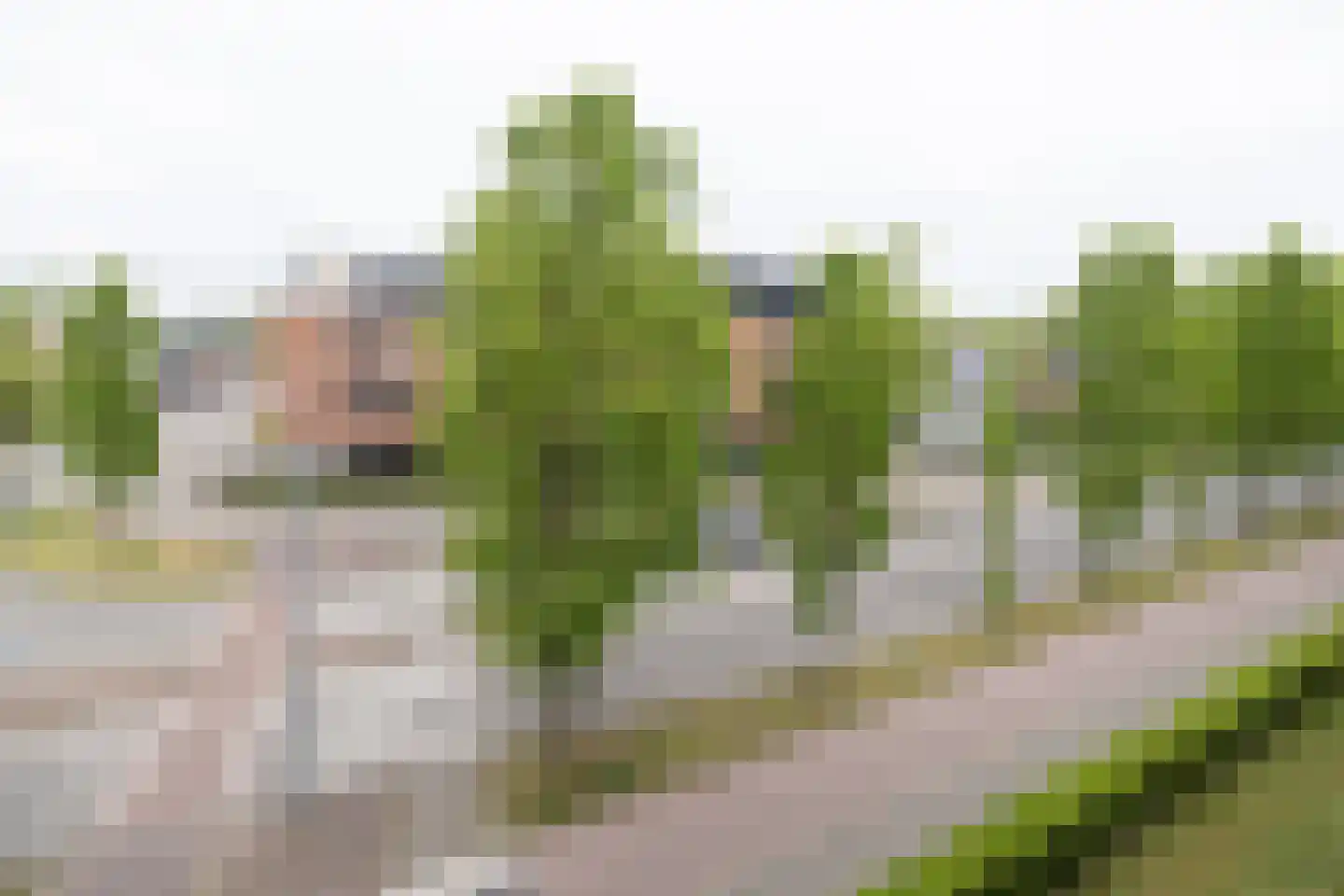De Heus Plein 11 Barneveld thumbnail 10
