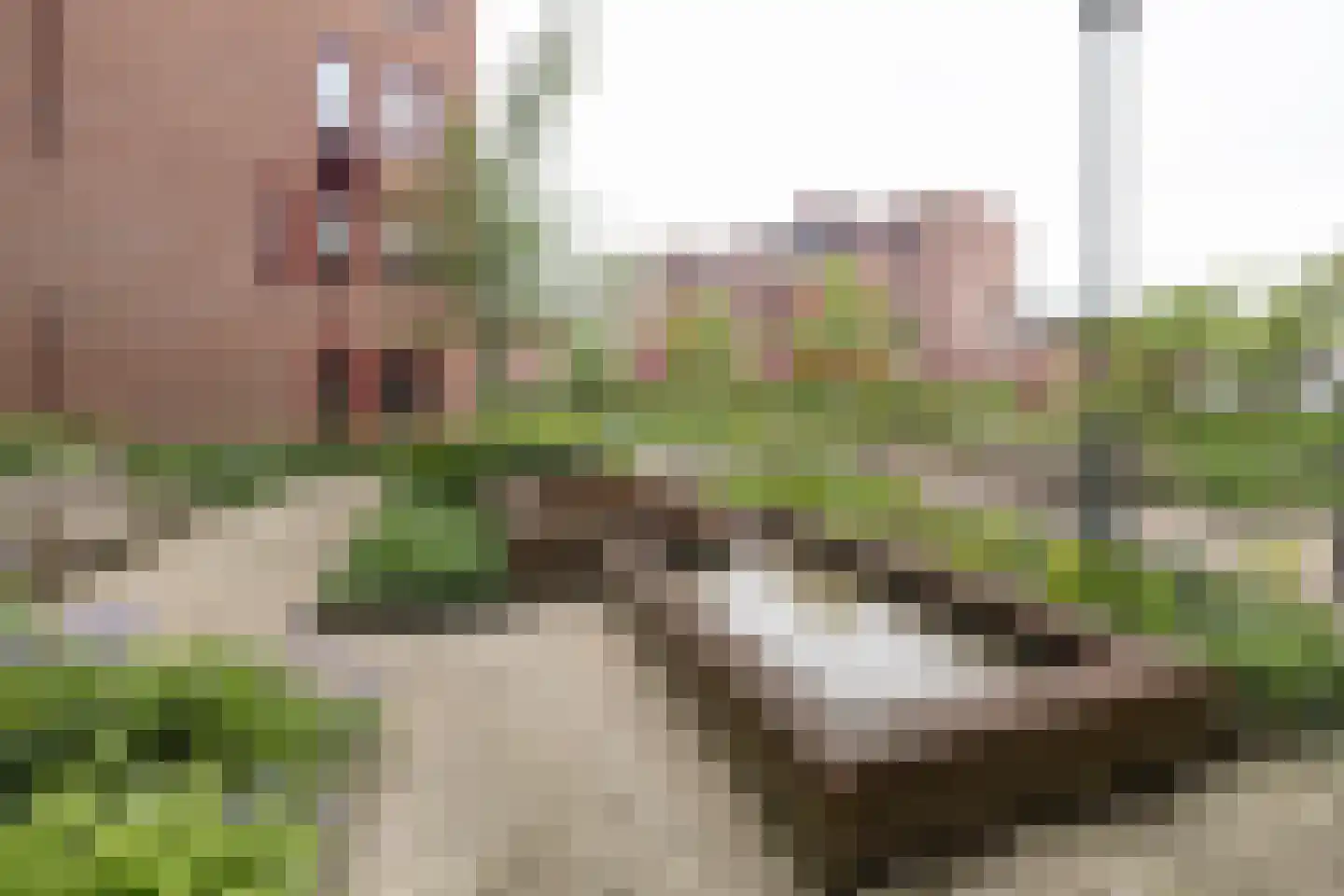 De Heus Plein 11 Barneveld thumbnail 32