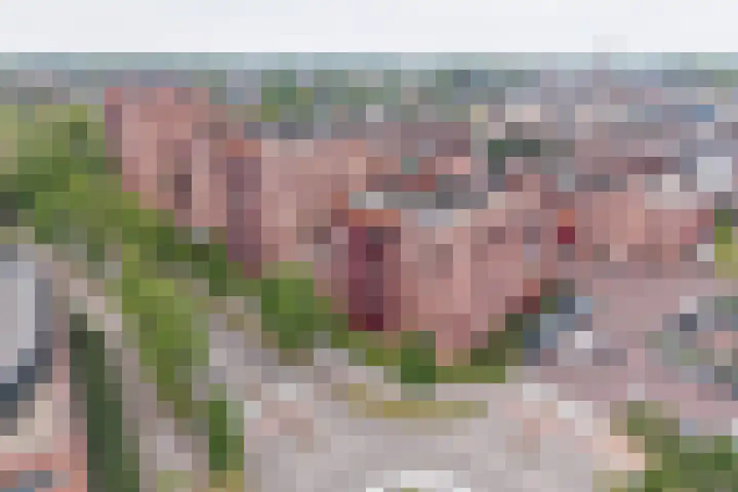 De Heus Plein 11 Barneveld thumbnail 38