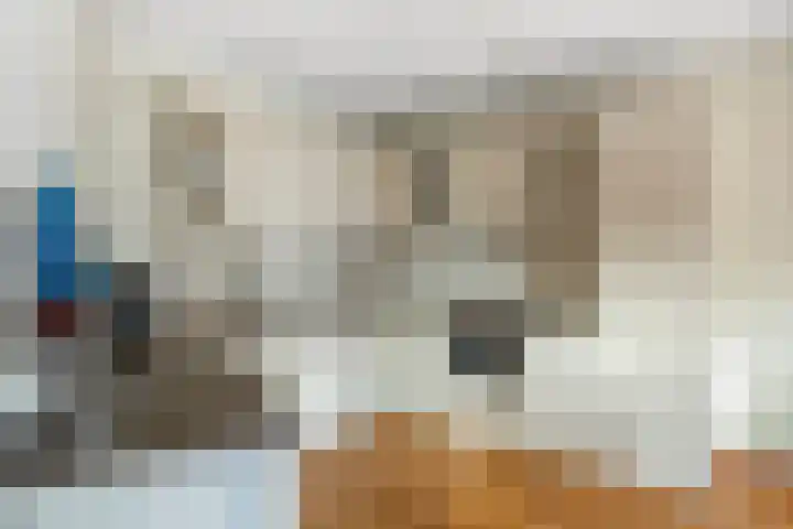De Heus Plein 4 Barneveld thumbnail 13