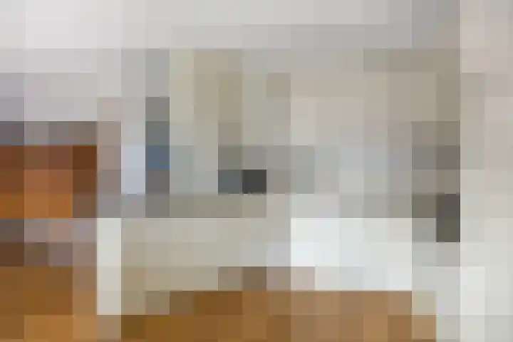 De Heus Plein 4 Barneveld thumbnail 14
