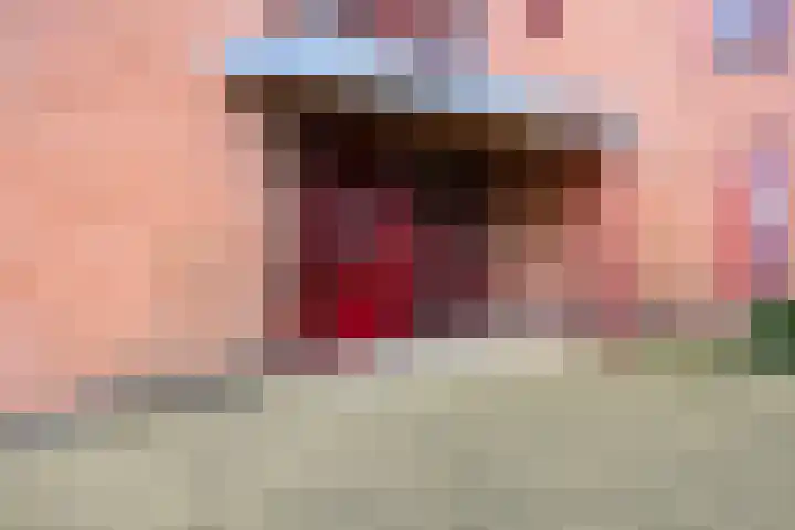 De Heus Plein 4 Barneveld thumbnail 4