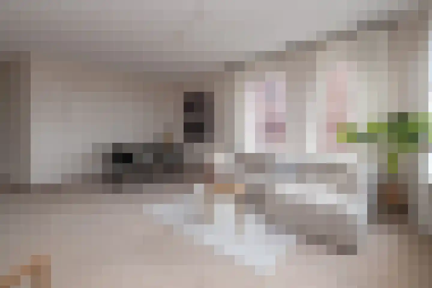 De Heus Plein 44 Barneveld thumbnail 4